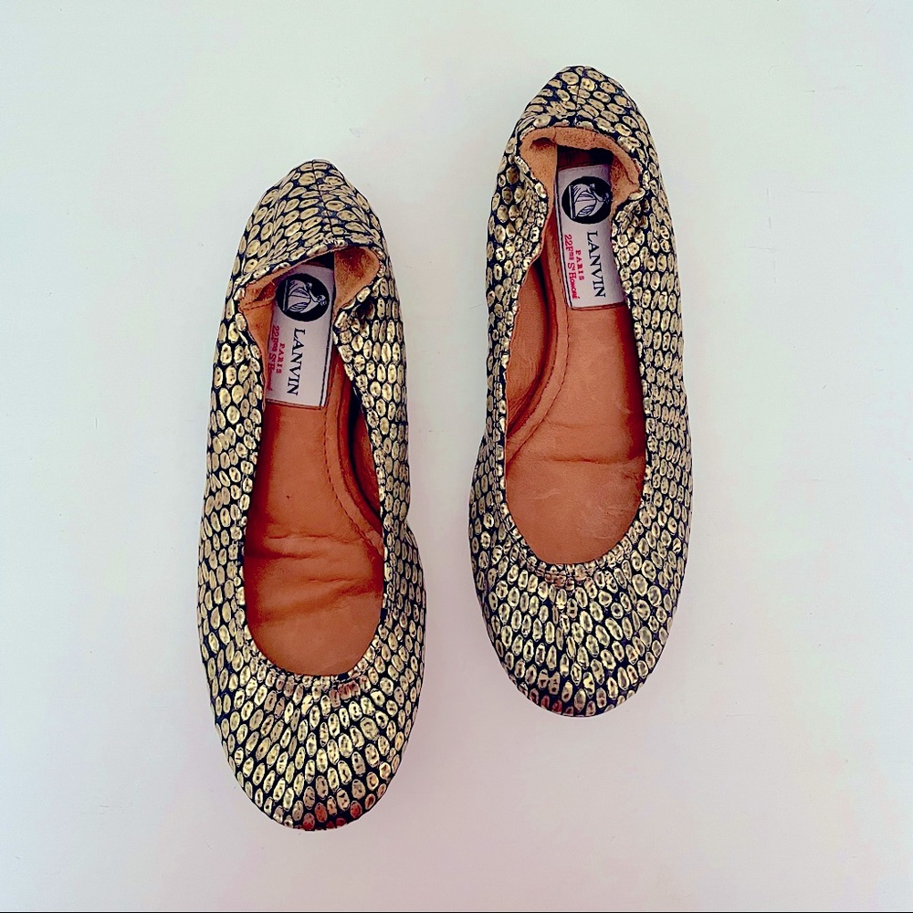 Lanvin Ballet Flats • Lanvin Ballet Flats